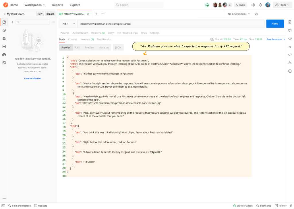 The user's first request showing a response
